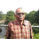 Dipankar Guha Roy