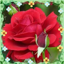 Sendhamizhan Rene
