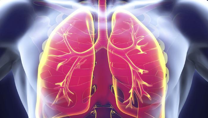 World Tuberculosis Day: How To Prevent TB?