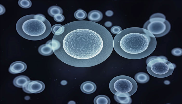 "Pluripotent Stem Cell" Can Be Generated From A Somatic Cell By Use Of Chemicals