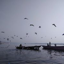 Archana Singh