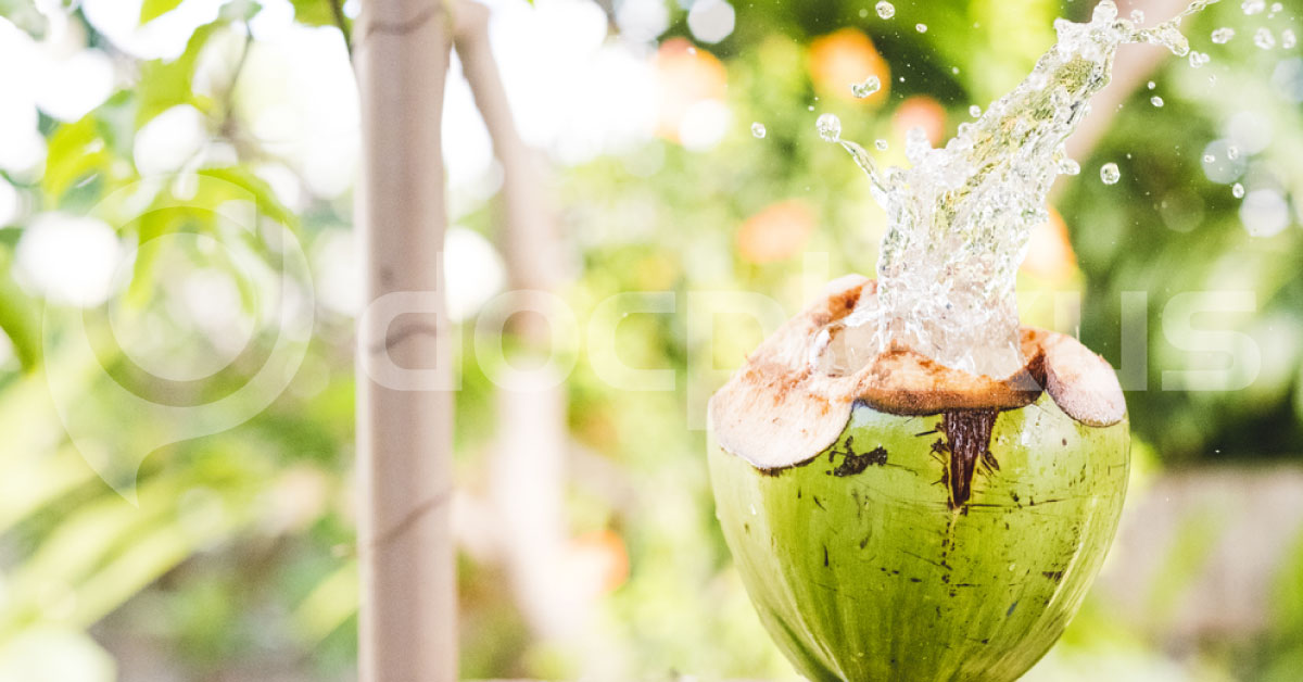 Summer Season, Drinking Coconut Water Helps Us Many Ways