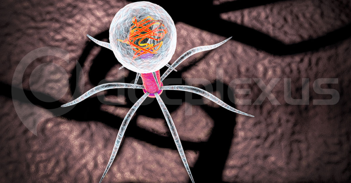 Potential Role of Bacteriophages in Urinary Health