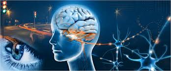 Role Of Neuro Ophthamologist