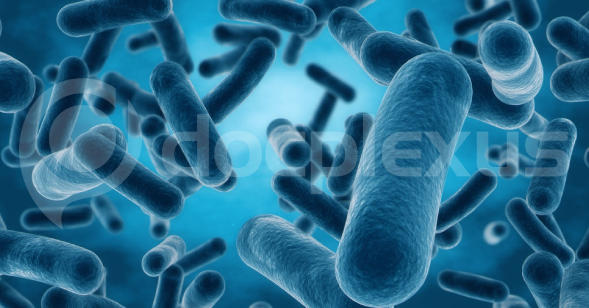 CDC: Drug-resistant 'Nightmare Bacteria' Pose Growing Threat