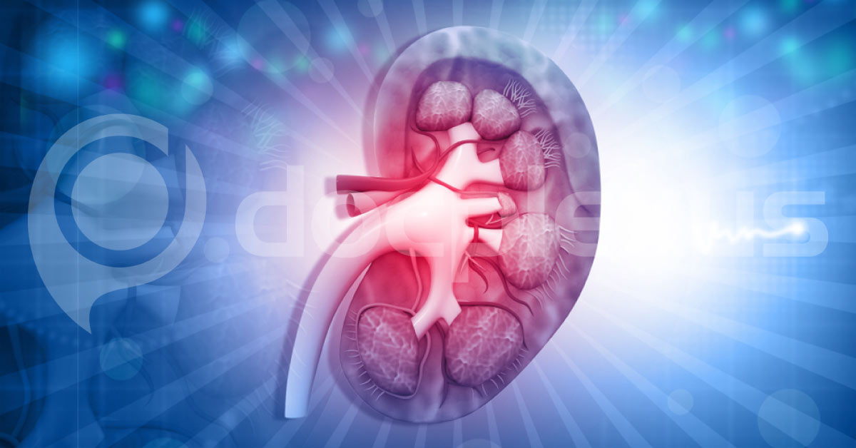 Magnetic Resonance Imaging In Nephrology