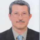 Ihab Samy Fayek
