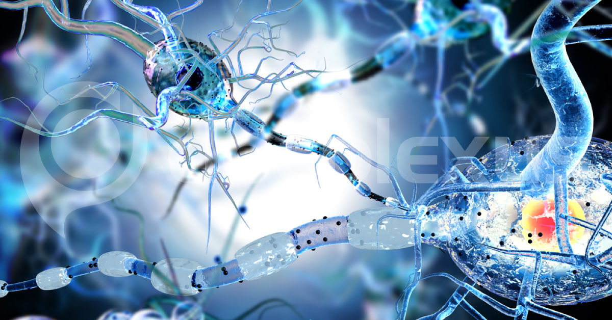 Human Brain Grown In Rodents To Boost Treatments For Neurological Disorders