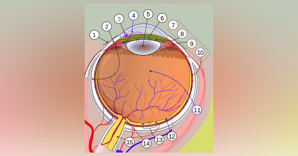 Overview Of Some Old Ophthalmic Terminologies