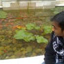 Vikas Gondaliya