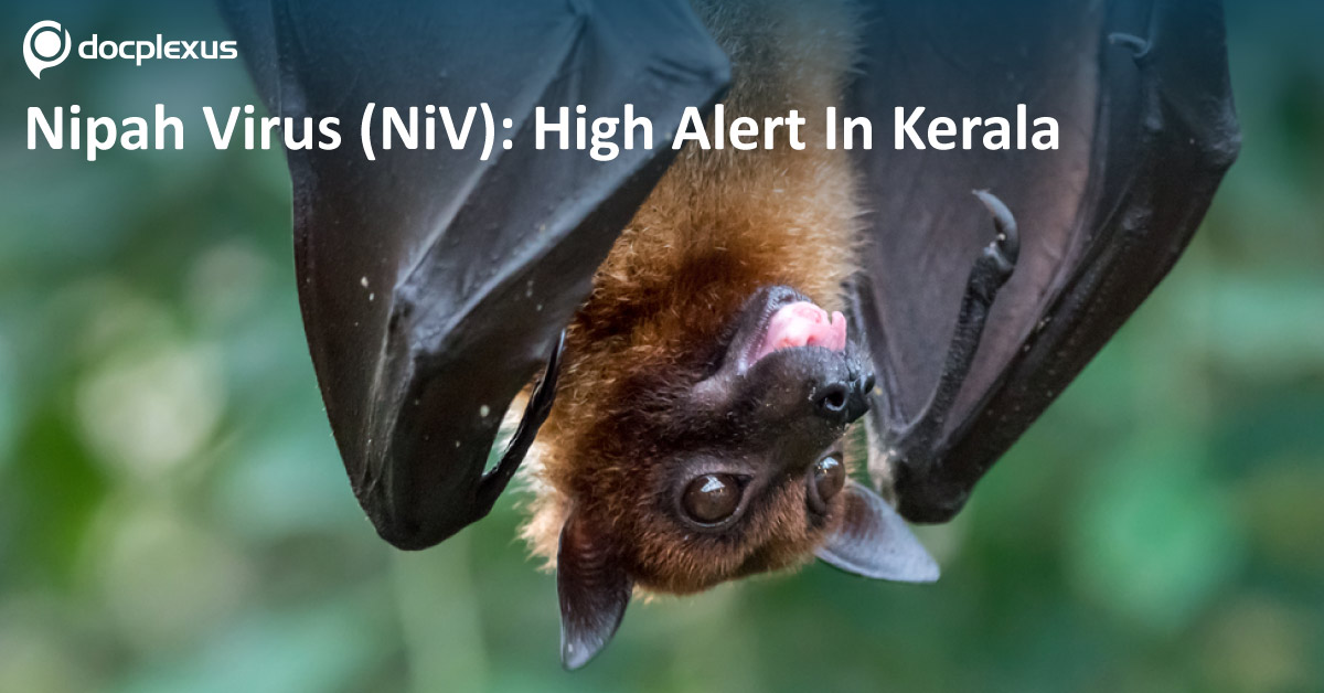 Nipah Virus Takes Toll On 10 Lives: Kerala Under High Alert