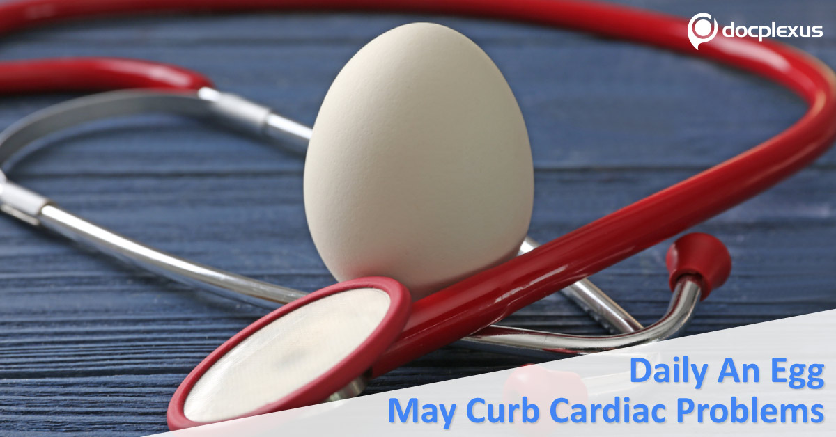 Heart Diseases May Be Kept Away By Having An Egg A Day