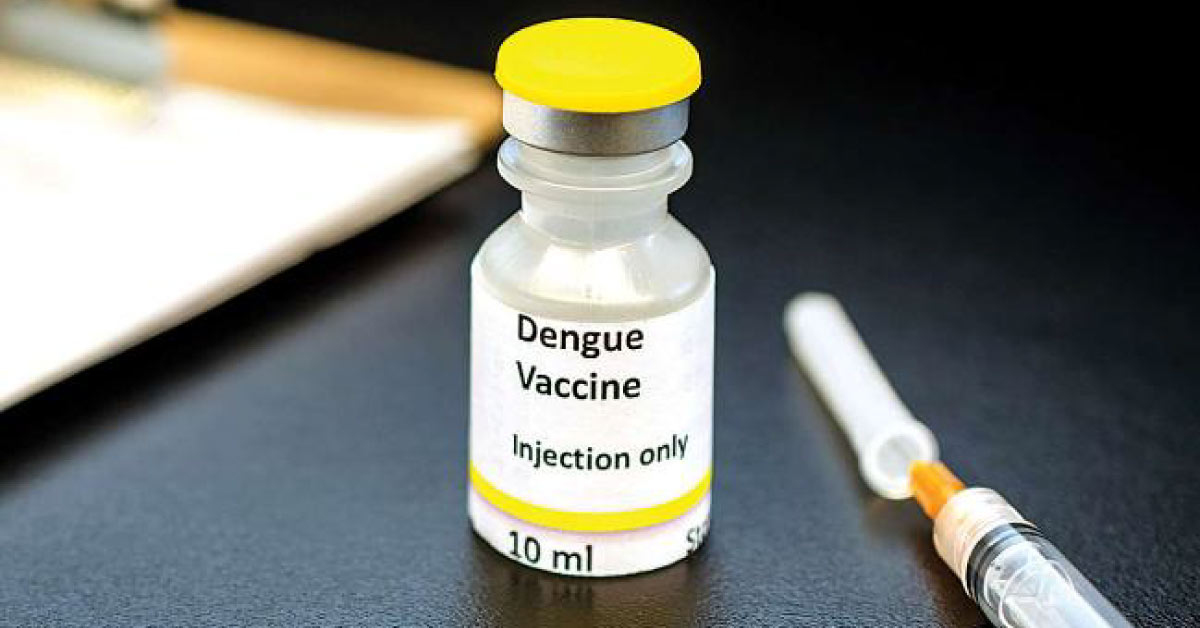 World Health Organisation Warns Against New Dengue Vaccine Risks