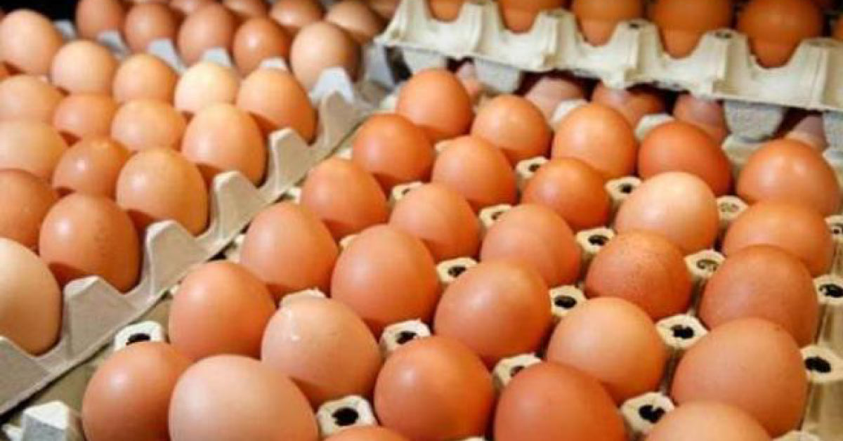Eggs Do Not Increase Risk Of Cardiovascular Diseases In Diabetic Patients