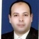 Wagih M. Ghnnam
