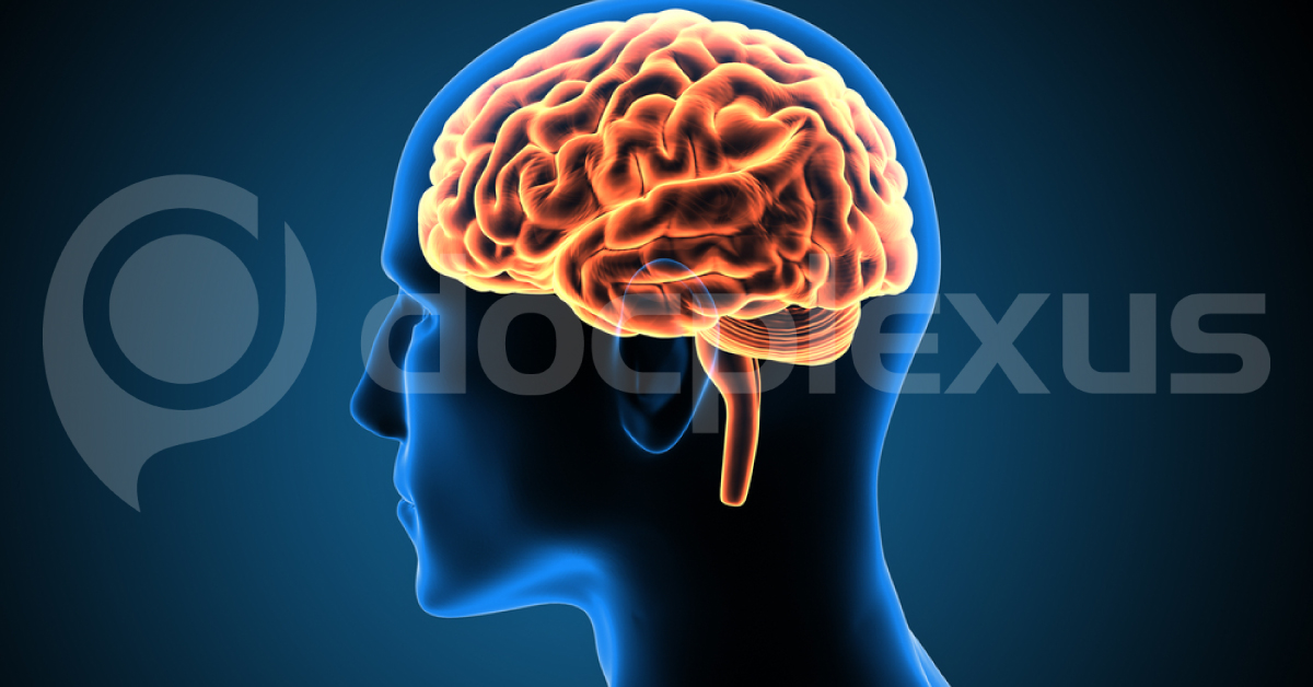 Human Brain Grown In Rodents To Boost Treatments For Neurological Disorders