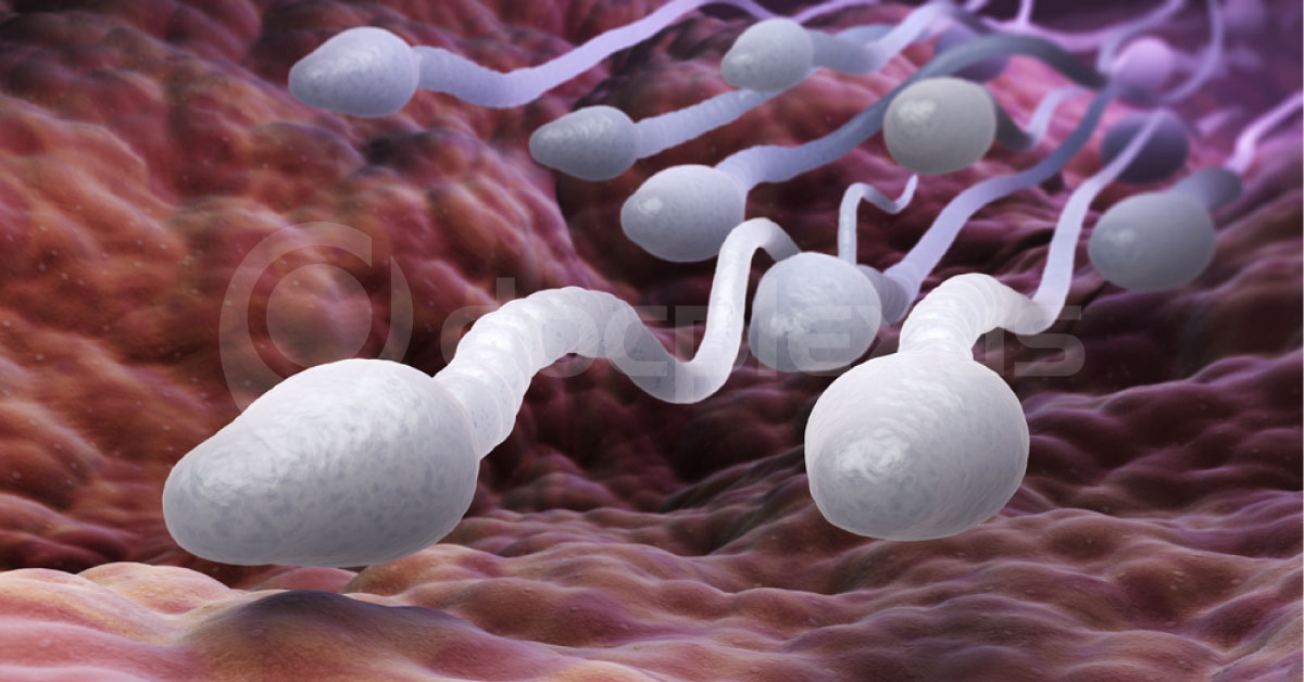 Daily Yoga Practice Improves Sperm Quality