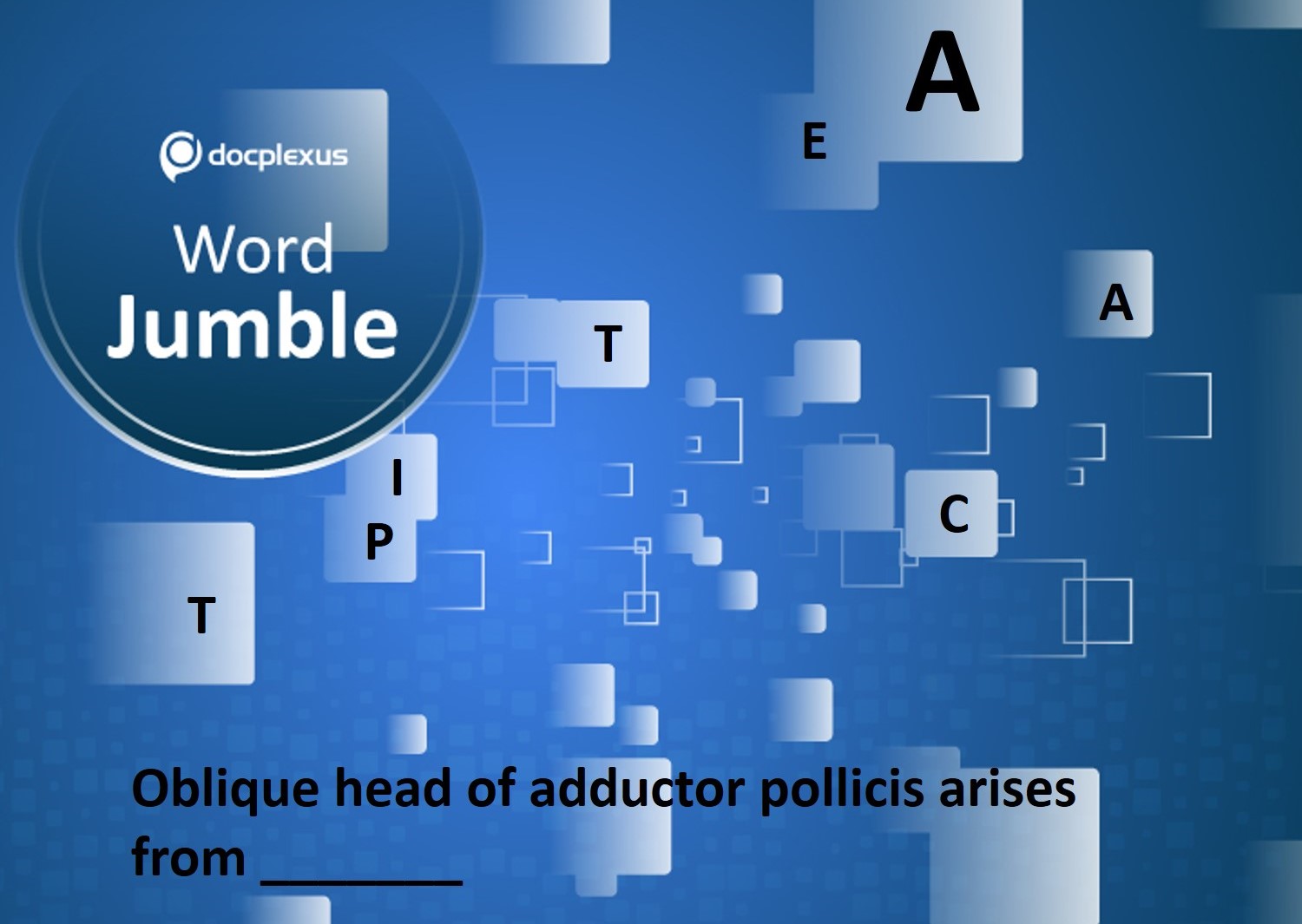 What is the Origin of the Oblique Head of Adductor Pollicis?