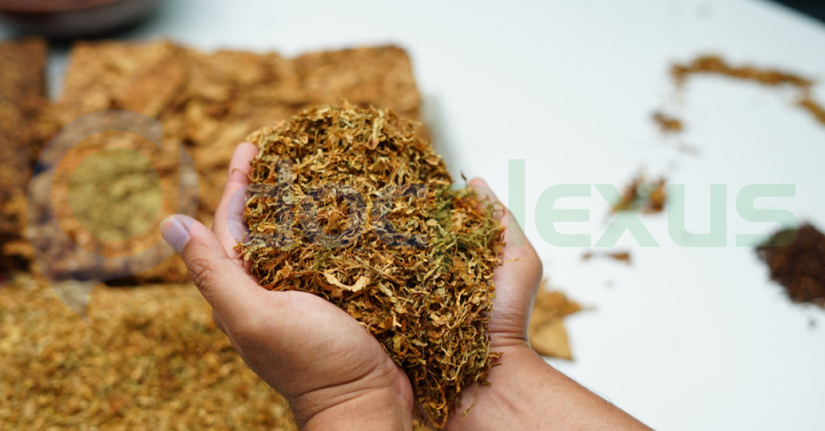 Smokeless Tobacco As Lethal As Cigarettes, Bidis