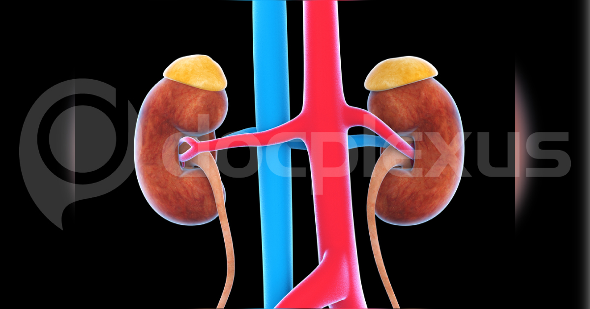 Tamsulosin Less Effective For Passing Out Ureteric Stone