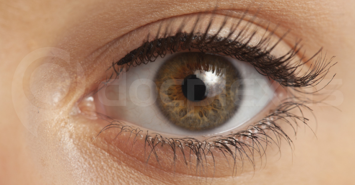 Specialties In Ophthalmology