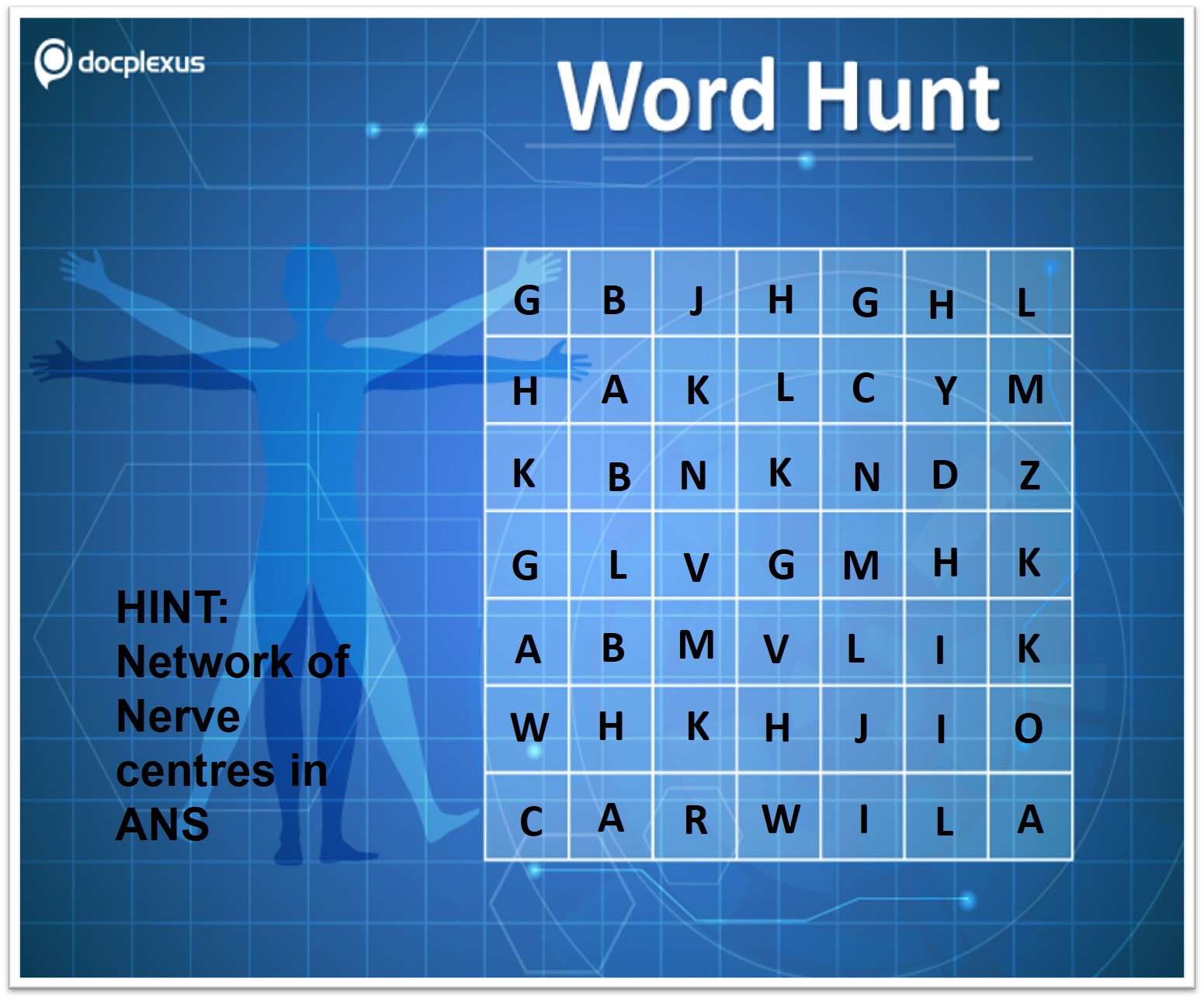 What is the Network of Nerve Centres in ANS Called?