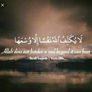 Rayees Bhat