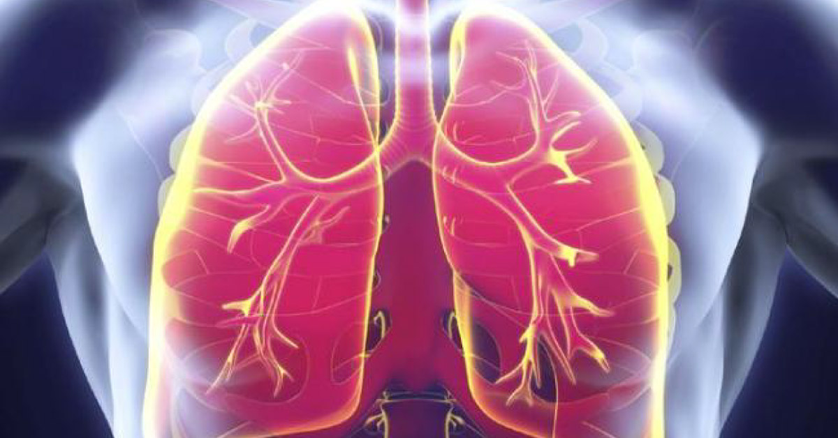 Latent Tuberculosis Infection Controlled By Three Months Of Rifapentine And Isoniazid