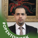 Seyed Ahmad Naseri Alavi