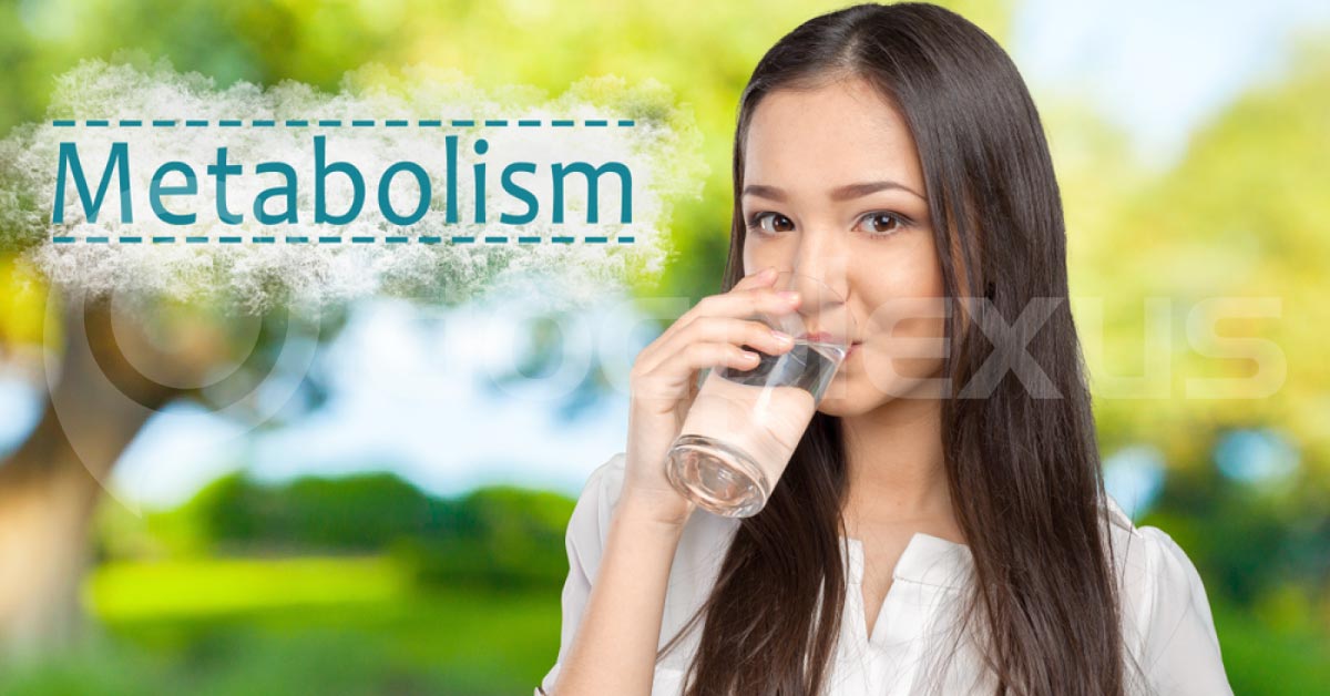 Water And Our Metabolism