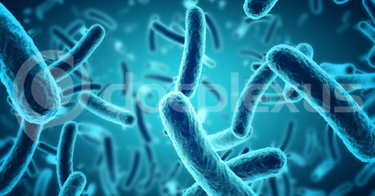 Women’s Bladder Are Not Sterile Place And It Contains Bacteria