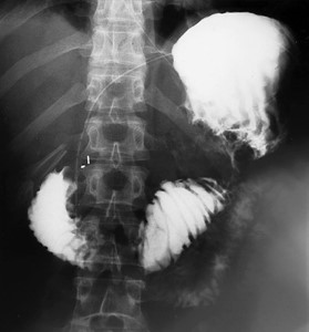 Identify The Diagnosis
