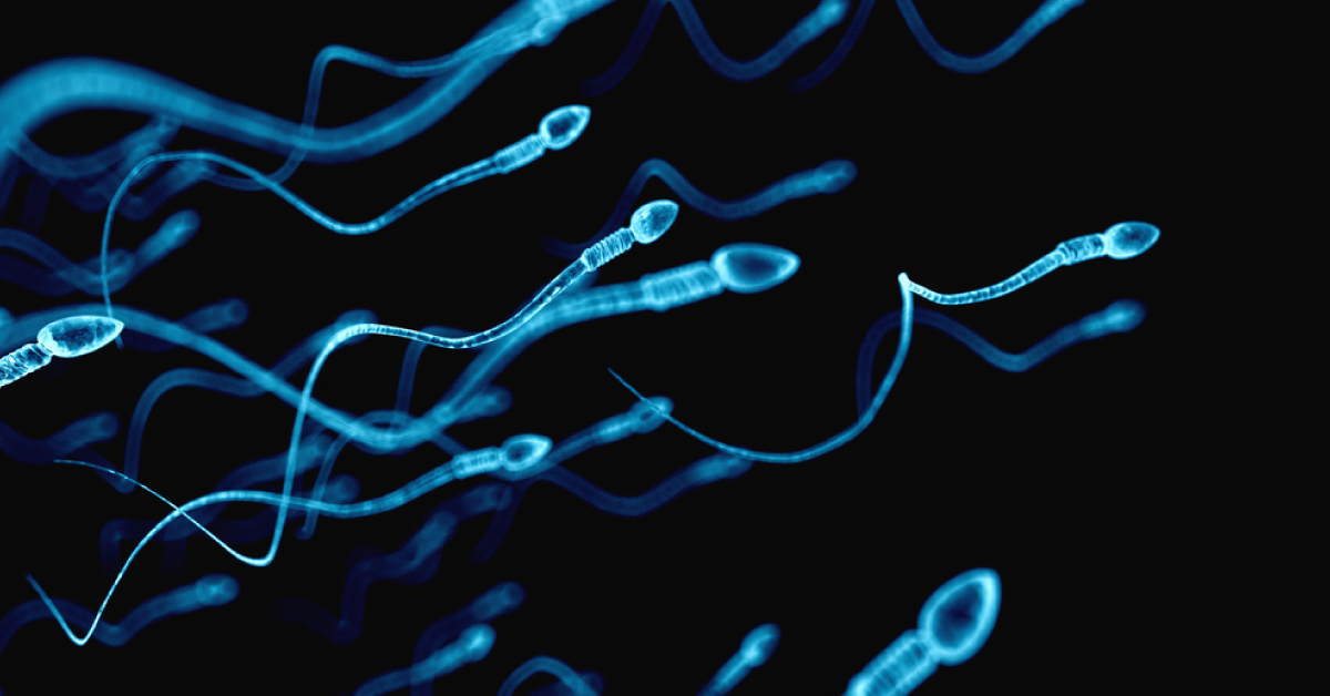 Moderate Alcohol Consumption May Boost Male Fertility