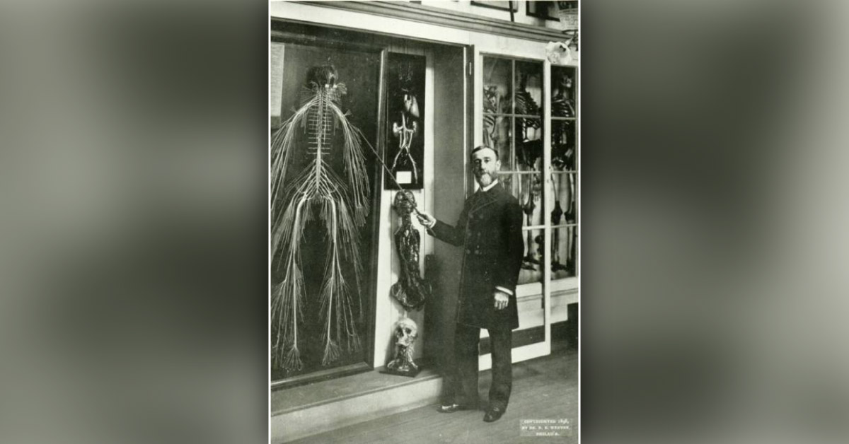 Human Nervous System, Great History Revealed