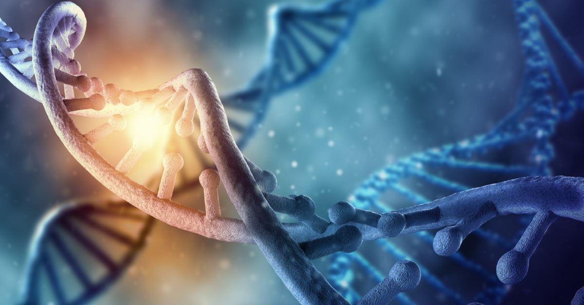 From “Junk” to Genius: How Noncoding DNA May Hold the Key to Cancer Spread
