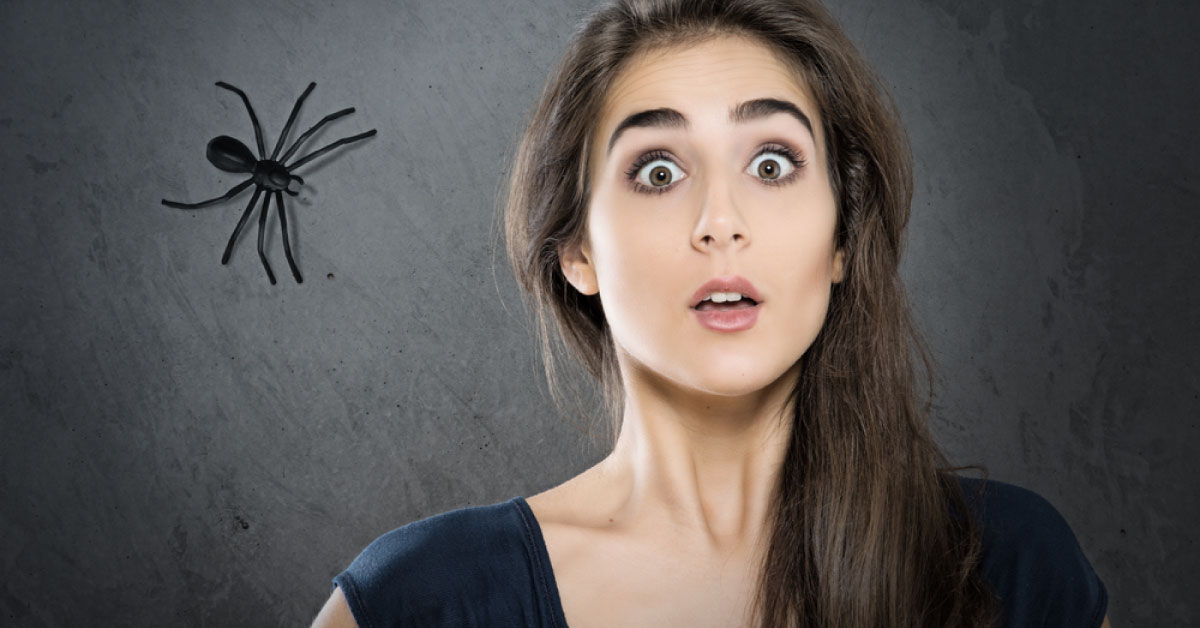Manage This Case With Spider Phobia
