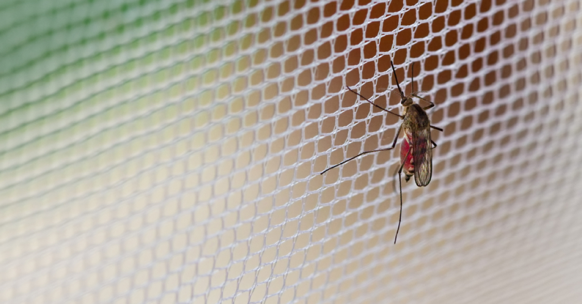 A Novel New Bed Net Developed To Prevent Malaria
