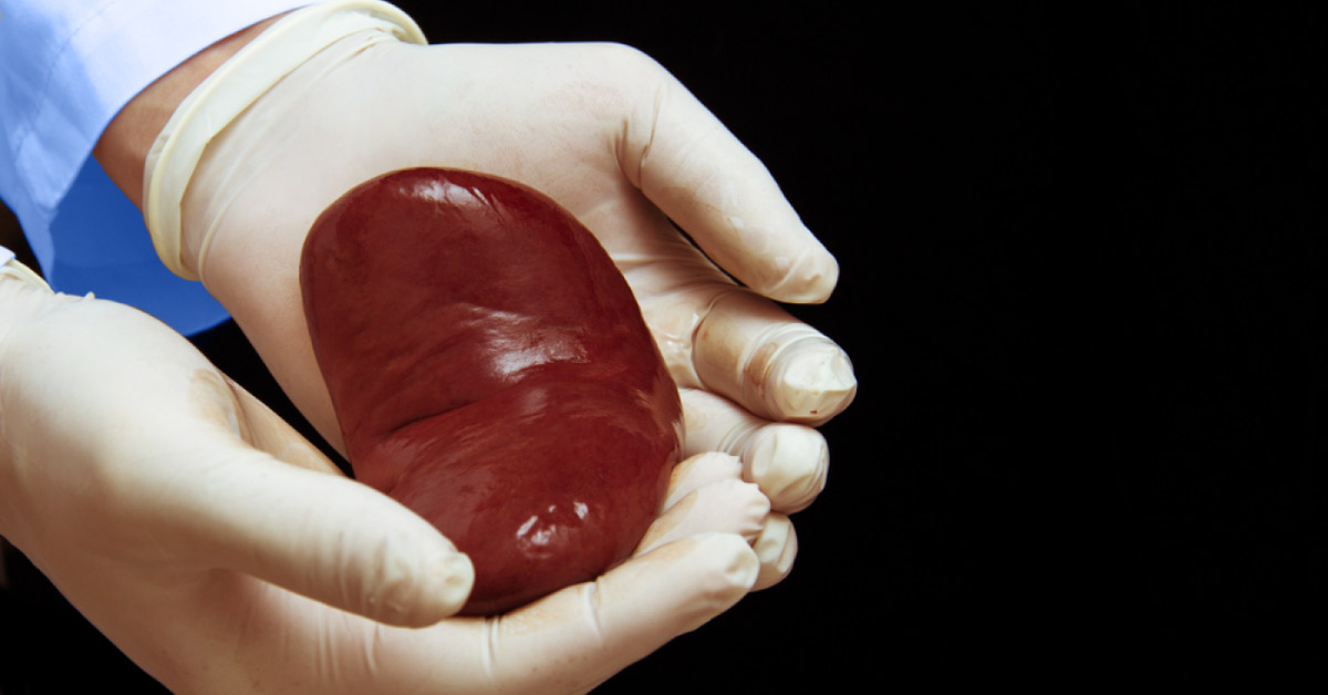 Bareilly Hospital Allegedly "Steals" Kidney During Cesarean Section