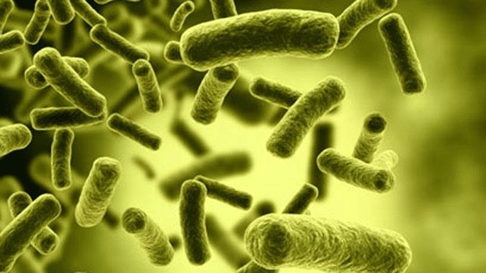 Ways Of Tackling Antibiotic Resistance To Keep Good Antibiotics To Kill Microorganism