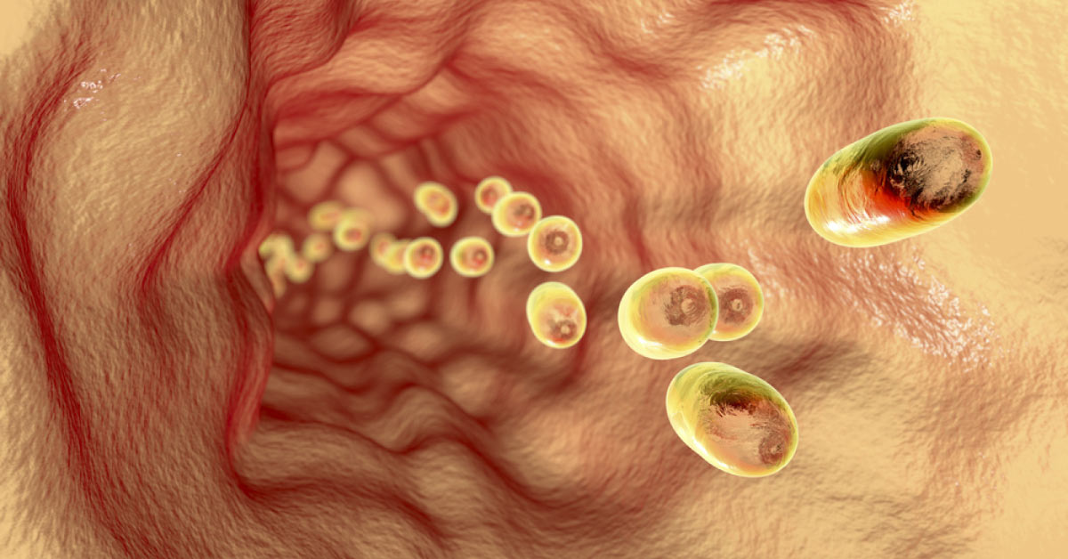 Scientist Have Grown Human Oesophagus In Lab From Stem Cell