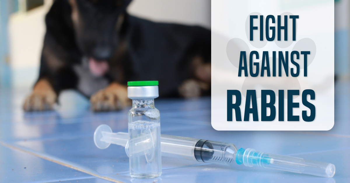 Join WHO’s Mission On Rabies ‘Zero by 30’