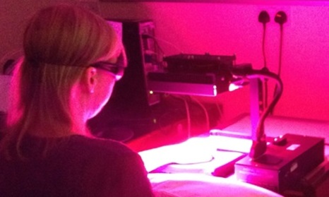 Light Therapy Shows Potential For Treating Ulcers In Systemic Sclerosis