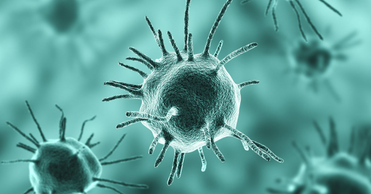 Brief Review Of The Parasite Affecting Brain