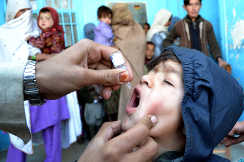 Oral Polio Vaccine Contamination