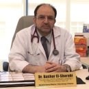 Bashar Elsharabi