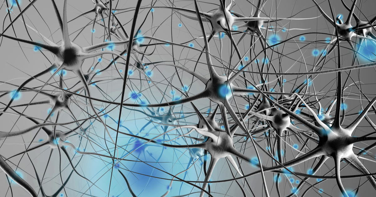 Neuro Stability In The Brain