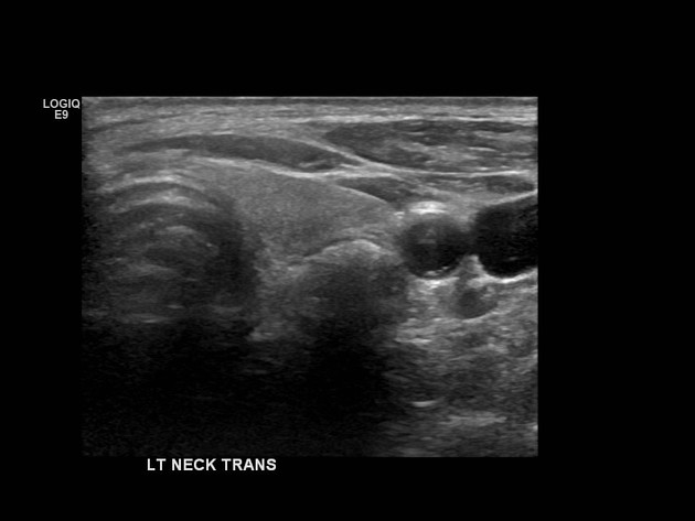 Can You Diagnose This Case?