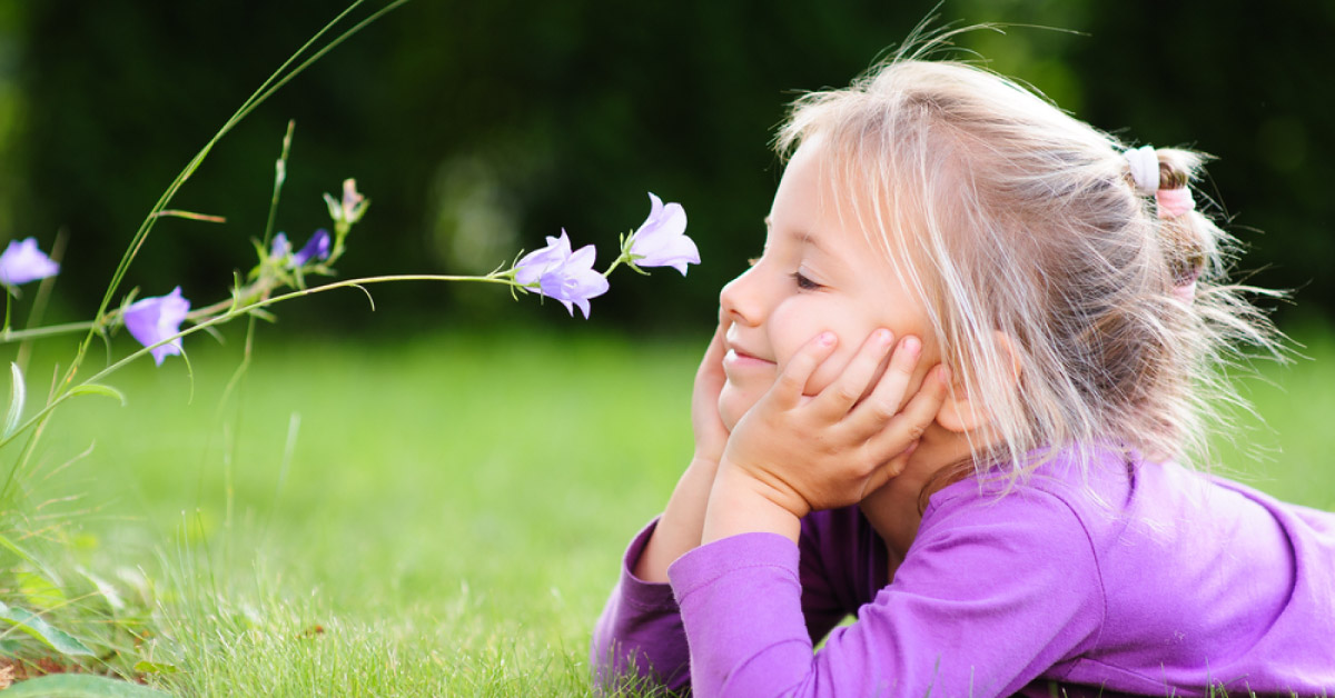What is Anosmia?