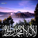 Mohammad Yaseen Bhat