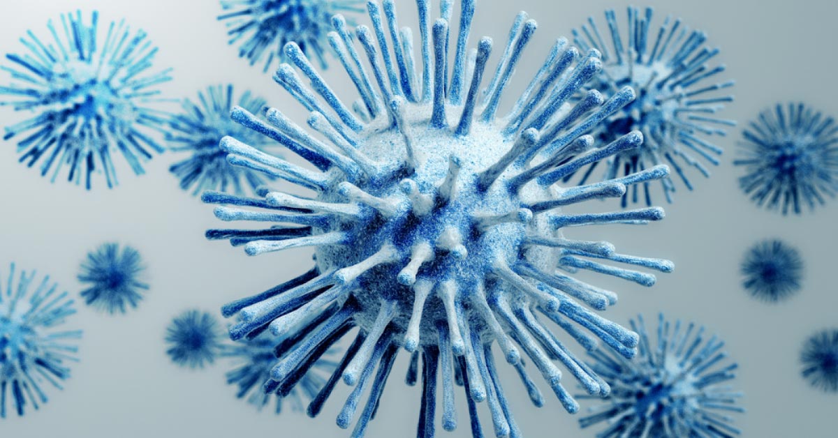 Influenza A Verses Swine Flu